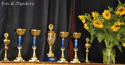 vystava