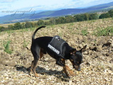 Nikitek