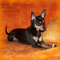Gerta