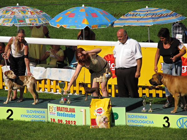 Gerta BIG I. Judge: Matyáš