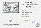 skjch
