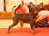3 měsíce/3 months old