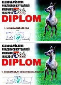 Diplom