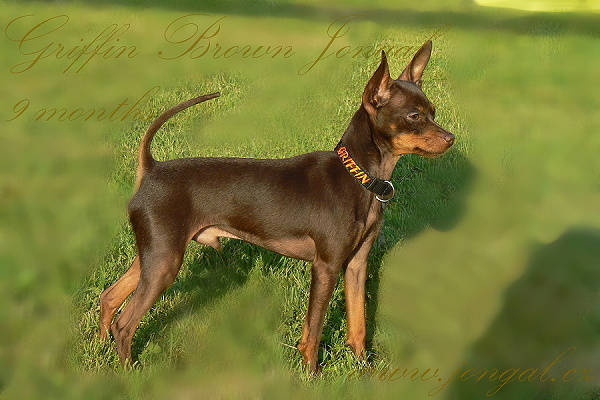 Griffin9months