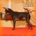 Griffin 17 months