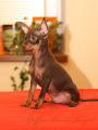3 měsíce/ 3 months old