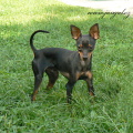 Eliot 8 mesicu