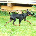 Eliot 8 mesicu