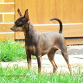 Ketty