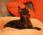 Enie 2 roky