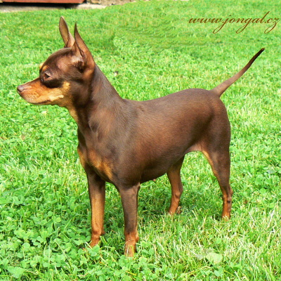 4 roky/ 4 years