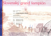 GrandsampionSK
