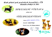 Vitez speciální výstavy