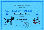 Klubový šampion