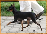 Nikita 13 mesicu