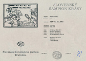 SK Champion
