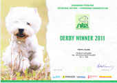 Derby winner 2011