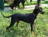 Nikita 5 mesicu