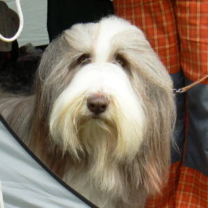 Duffy