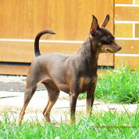 Ketty