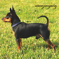 Bastien