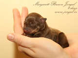 Margarett