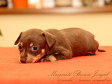 Margarett