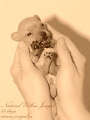 Naty