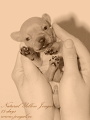 Naty
