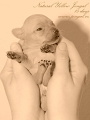 Naty